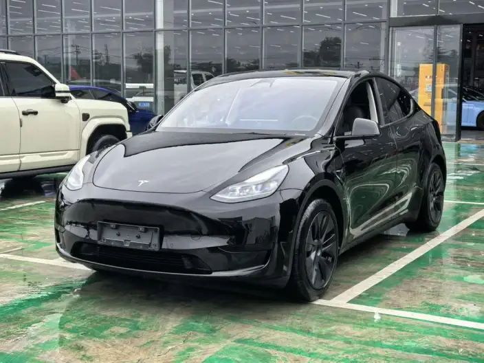 Model Y 2024 Model Rear-wheel drive version – фото 1
