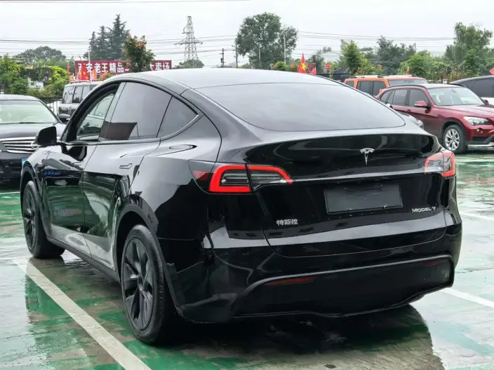 Model Y 2024 Model Rear-wheel drive version – фото 4