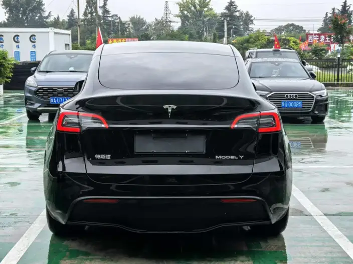 Model Y 2024 Model Rear-wheel drive version – фото 5