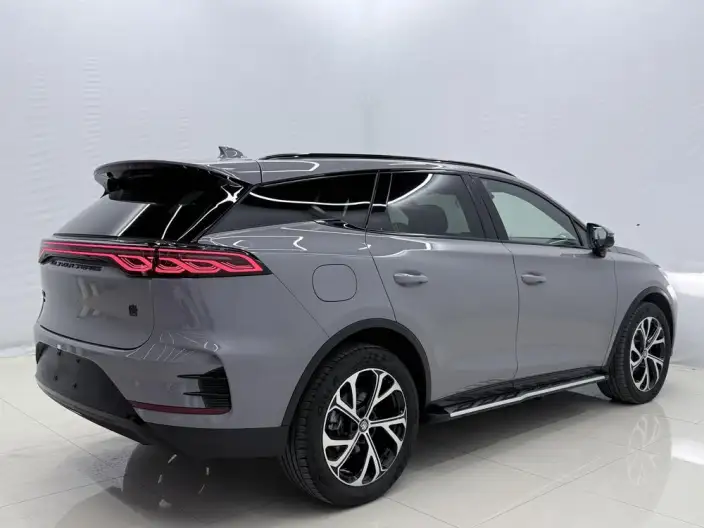 BYD Tang DM 2025 Model DM-i 115KM Zunrong Model – фото 6
