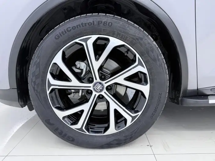 BYD Tang DM 2025 Model DM-i 115KM Zunrong Model – фото 10