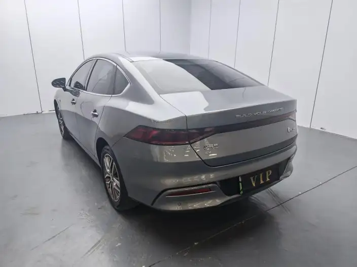 Qin Plus EV 2024 Model Honor Edition 420KM Leading Model