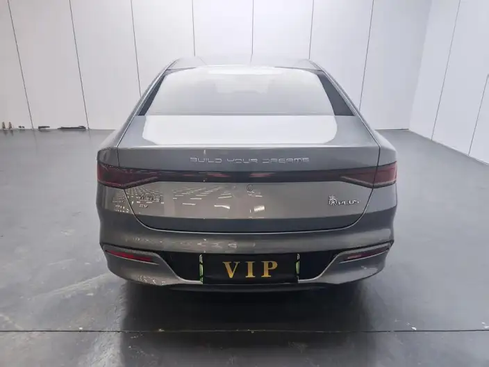 Qin Plus EV 2024 Model Honor Edition 420KM Leading Model – фото 6
