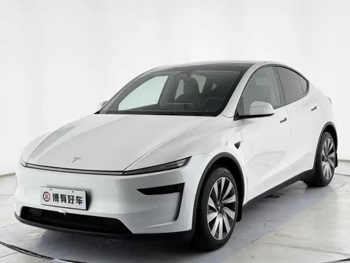 Model Y 2025 Model Rear-wheel drive version – фото 1