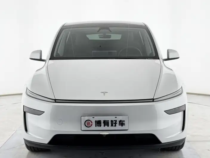 Model Y 2025 Model Rear-wheel drive version – фото 2