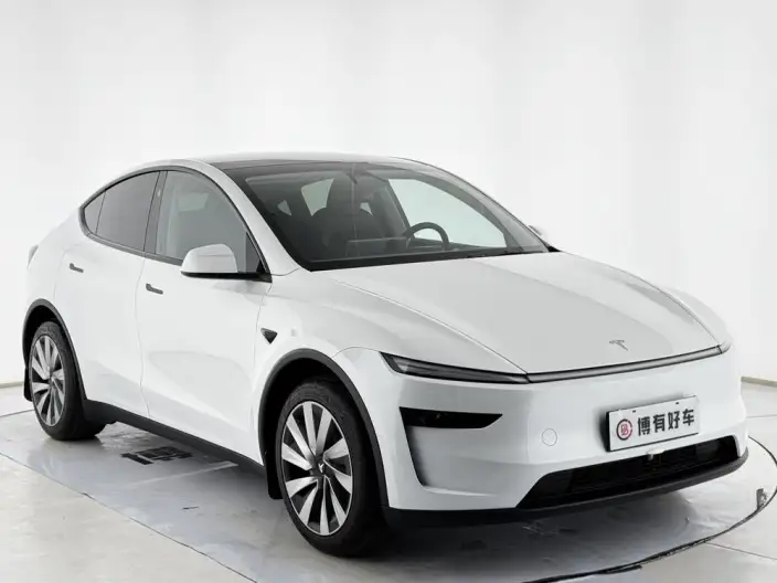 Model Y 2025 Model Rear-wheel drive version – фото 3