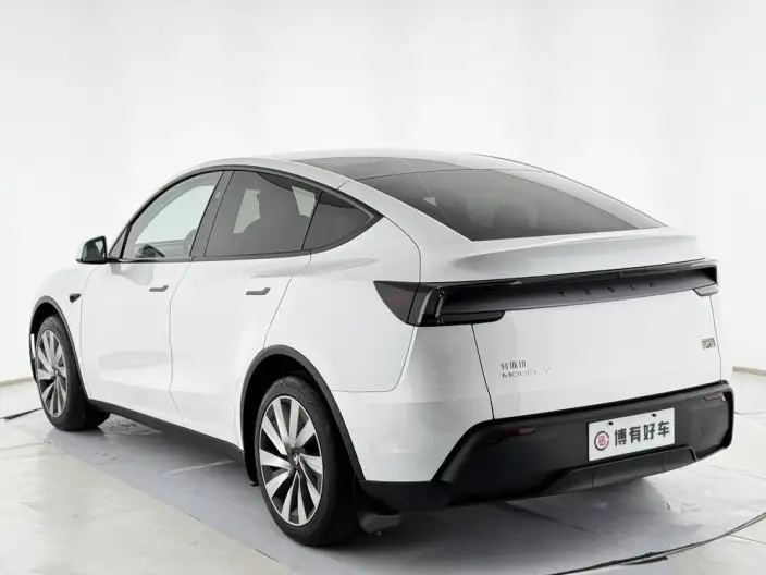 Model Y 2025 Model Rear-wheel drive version – фото 5
