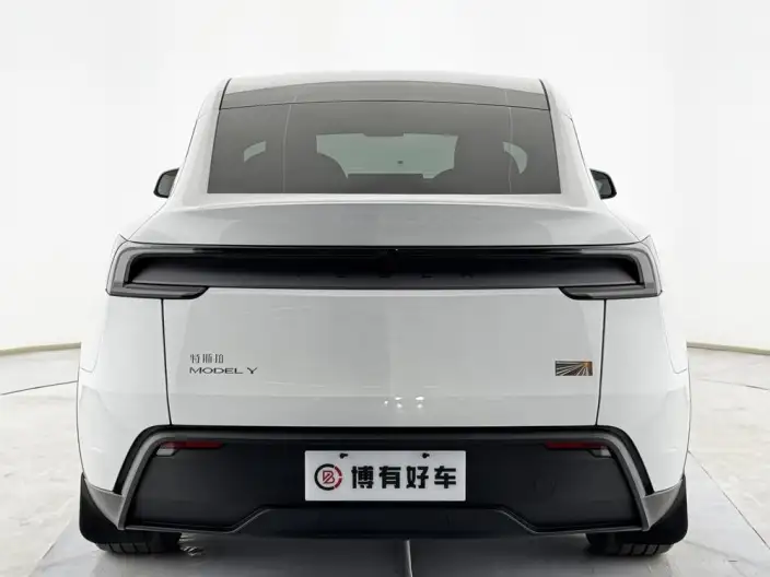 Model Y 2025 Model Rear-wheel drive version – фото 6