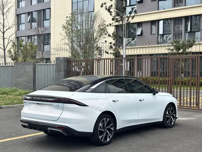 Geely Galaxy L6 2023 Model 1.5T DHT 125km Galaxy – фото 6