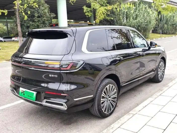 Geely M9 2025 Model 210km 4WD Pilot Edition – фото 6