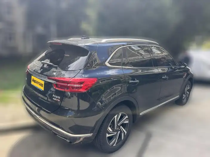 Hongqi HS5 2022 Model Facelift 2.0T Smart Flag Enjoy Edition – фото 2
