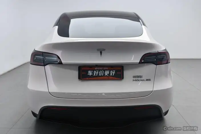 Model Y 2022 Model Rear-wheel drive version – фото 3