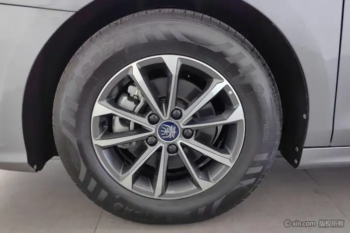BYD Qin PLUS DM 2023 Model DM-i Champion Edition 55KM Leading Model – фото 9