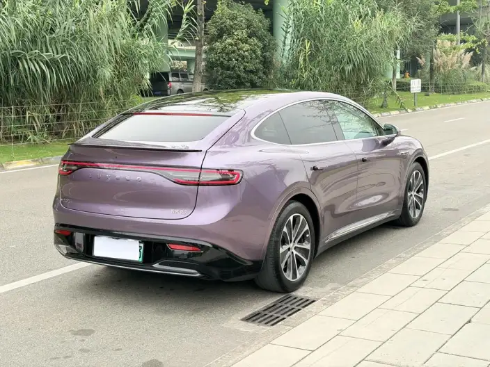 Luxeed R7 2024 Model EV 100kWh Max Rear Drive Edition – фото 7