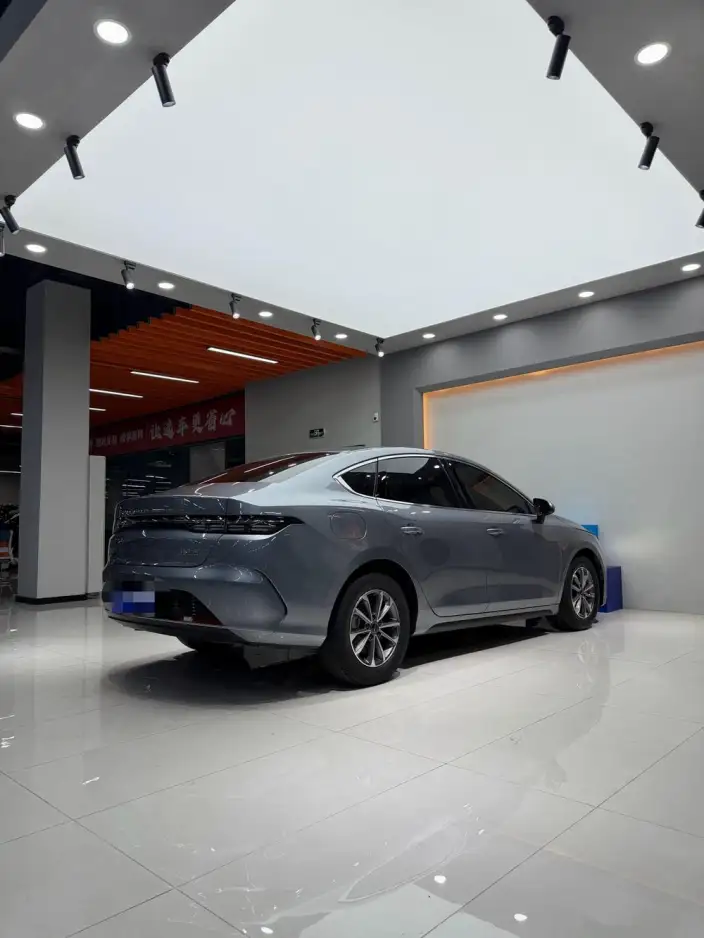 BYD Destroyer 05 2023 Model DM-i Champion Edition 55KM Luxury Model – фото 5