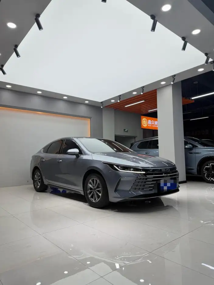 BYD Destroyer 05 2023 Model DM-i Champion Edition 55KM Luxury Model – фото 6
