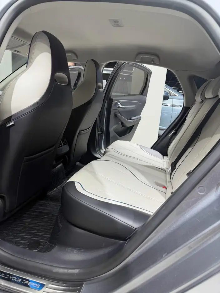 BYD Destroyer 05 2023 Model DM-i Champion Edition 55KM Luxury Model – фото 9