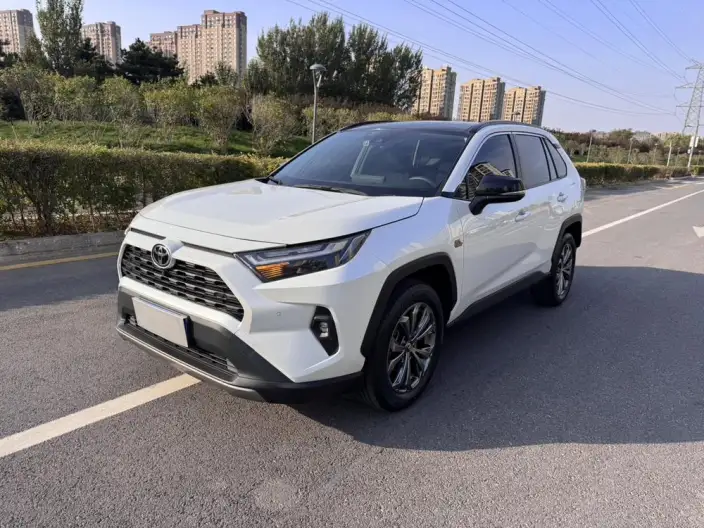 Toyota RAV4 2023 Model 2.0L CVT 2WD 20th Anniversary Platinum Memorial Edition