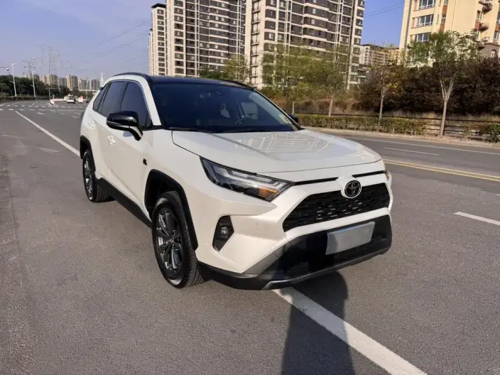 Toyota RAV4 2023 Model 2.0L CVT 2WD 20th Anniversary Platinum Memorial Edition