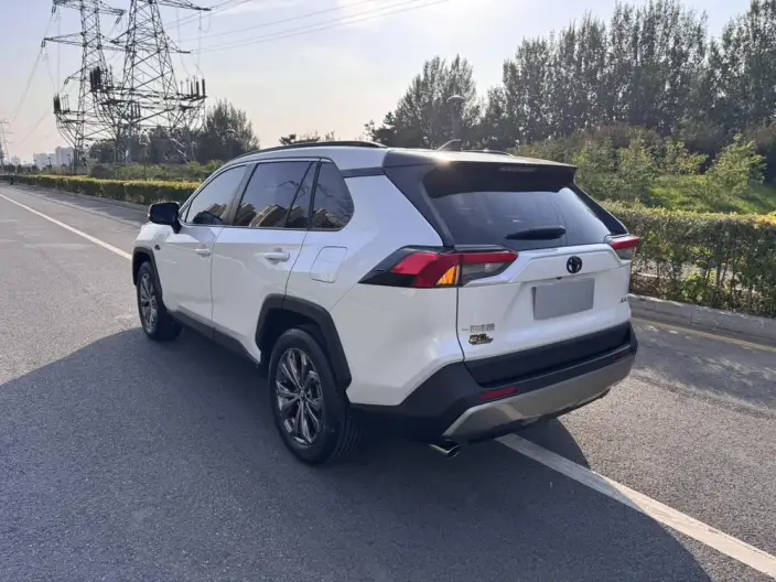Toyota RAV4 2023 Model 2.0L CVT 2WD 20th Anniversary Platinum Memorial Edition