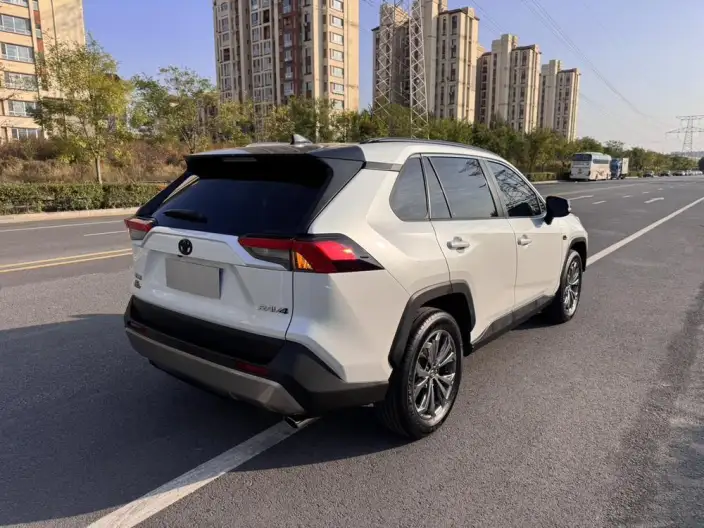 Toyota RAV4 2023 Model 2.0L CVT 2WD 20th Anniversary Platinum Memorial Edition – фото 6