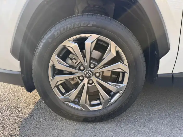 Toyota RAV4 2023 Model 2.0L CVT 2WD 20th Anniversary Platinum Memorial Edition – фото 7