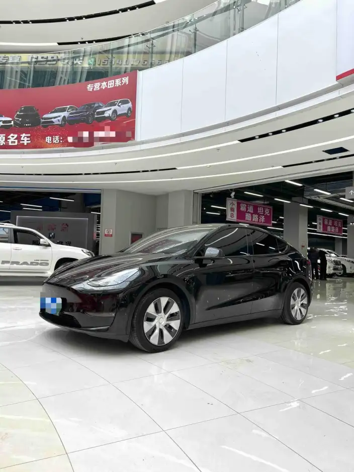 Model Y 2021 Model Standard Battery Life Rear-wheel drive version – фото 1
