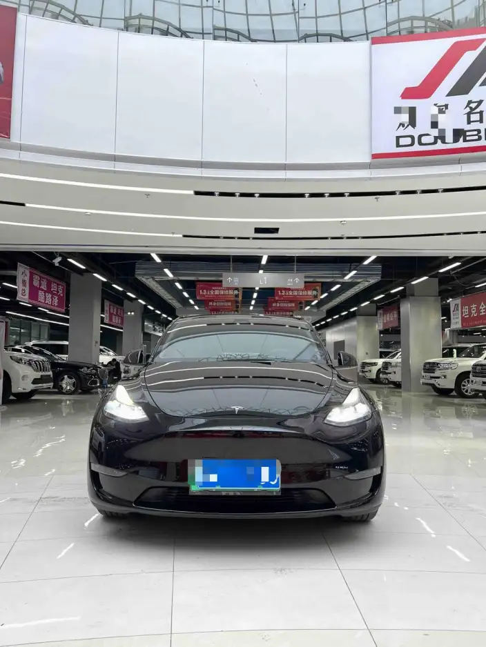 Model Y 2021 Model Standard Battery Life Rear-wheel drive version – фото 2