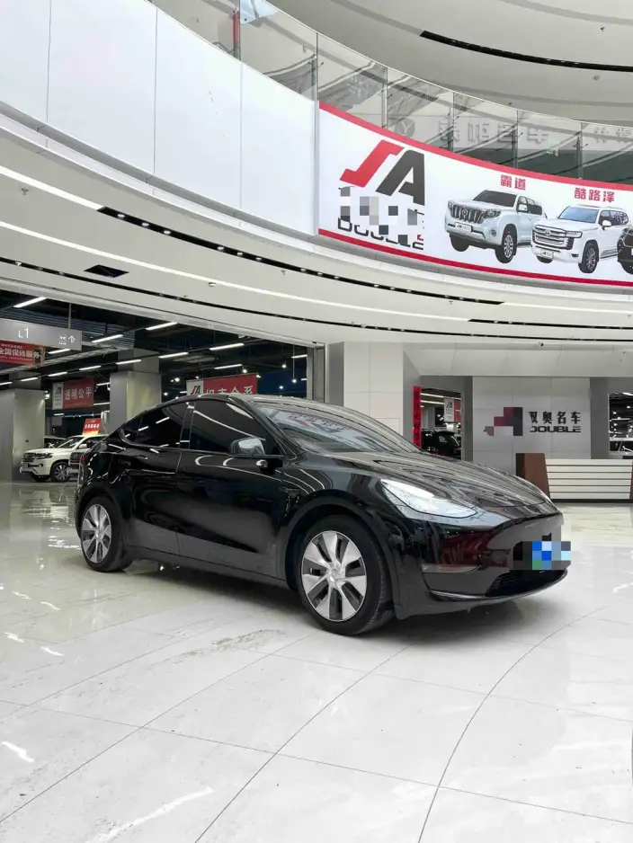 Model Y 2021 Model Standard Battery Life Rear-wheel drive version – фото 3