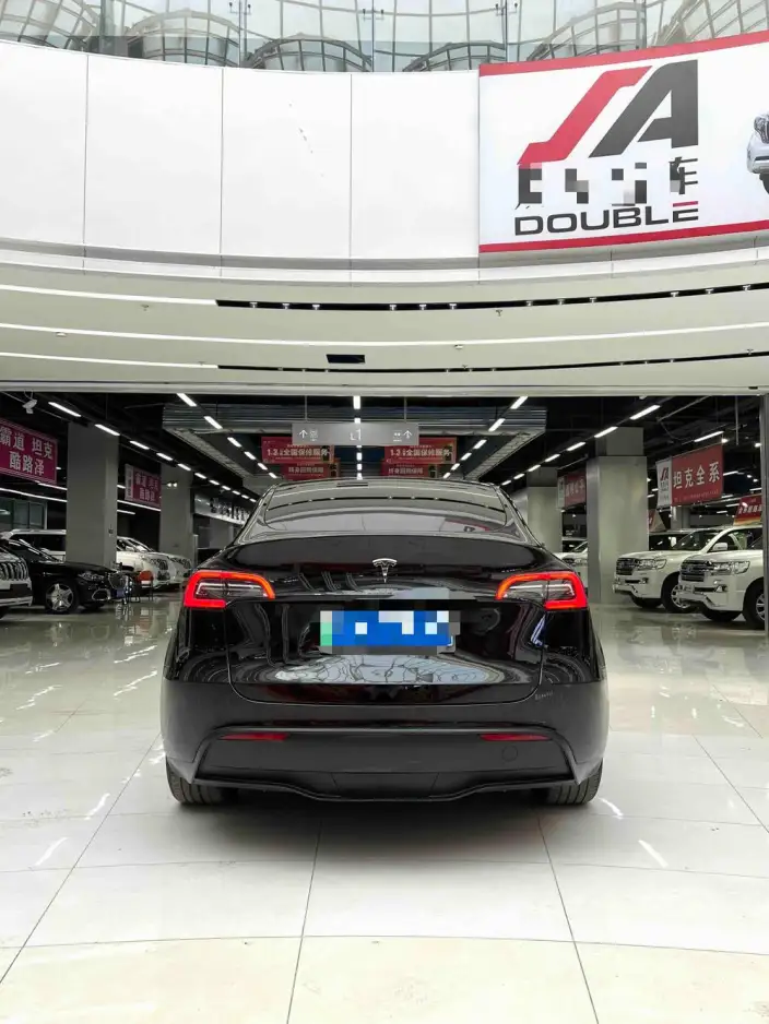 Model Y 2021 Model Standard Battery Life Rear-wheel drive version – фото 4