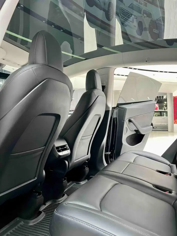 Model Y 2021 Model Standard Battery Life Rear-wheel drive version – фото 6