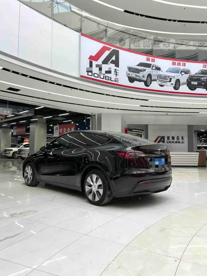 Model Y 2021 Model Standard Battery Life Rear-wheel drive version – фото 7
