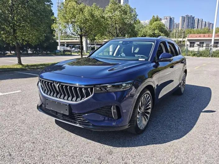 VOYAH FREE 2022 Model DNA EV Edition