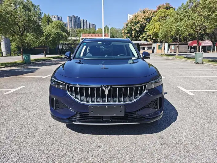 VOYAH FREE 2022 Model DNA EV Edition