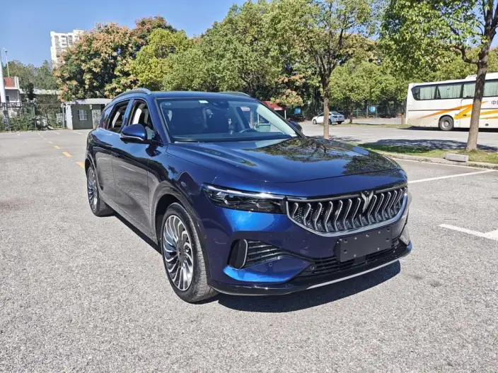 VOYAH FREE 2022 Model DNA EV Edition