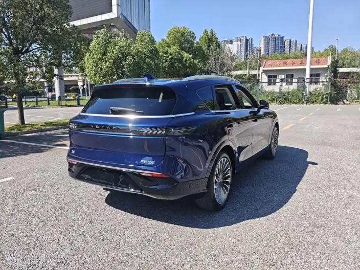 VOYAH FREE 2022 Model DNA EV Edition – фото 6