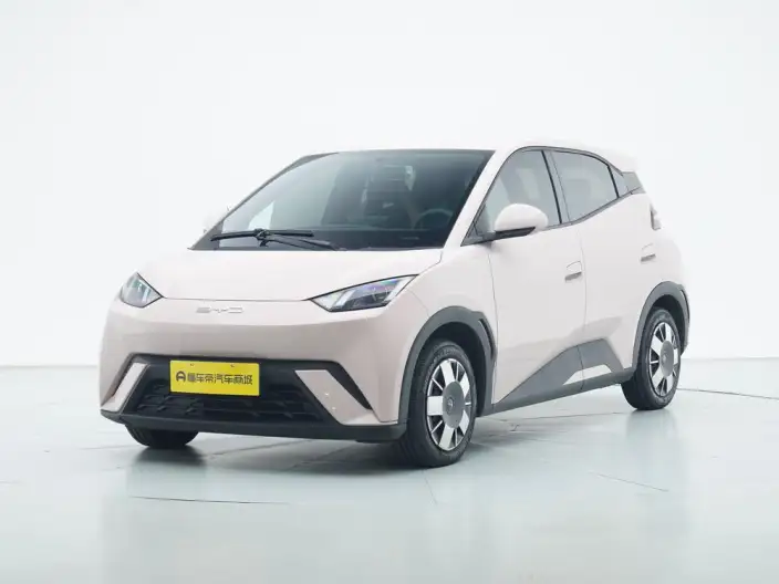 BYD Seagull 2024 Model Honor Edition 305KM Vitality Edition
