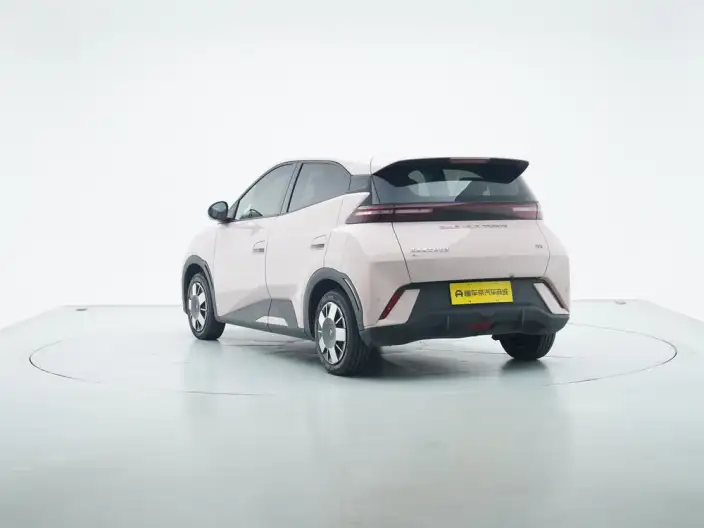 BYD Seagull 2024 Model Honor Edition 305KM Vitality Edition – фото 5