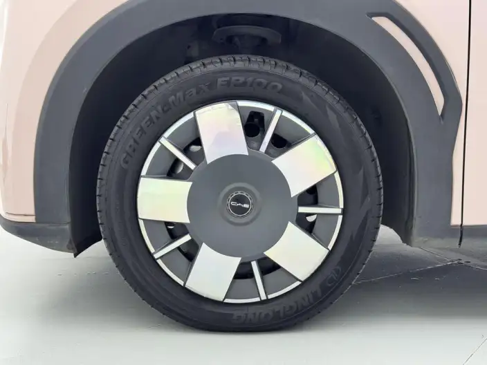 BYD Seagull 2024 Model Honor Edition 305KM Vitality Edition – фото 9
