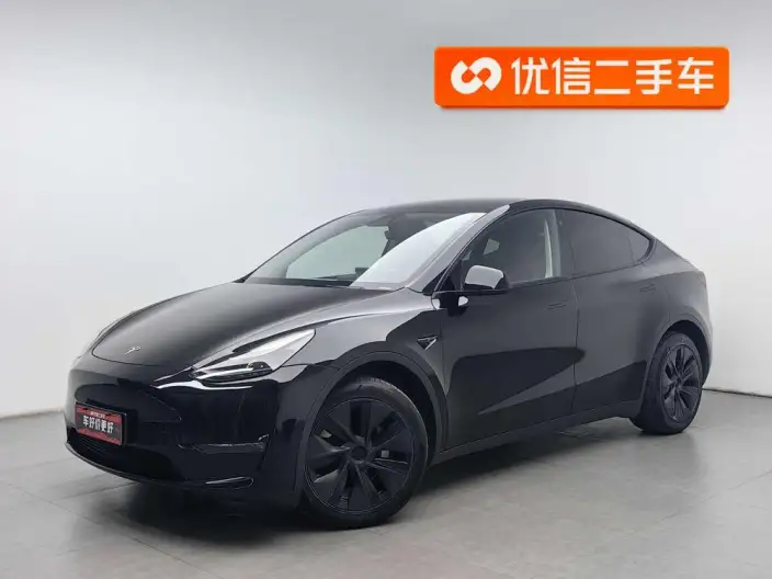Model Y 2023 Model Long Battery Life Pro All-wheel drive version – фото 1