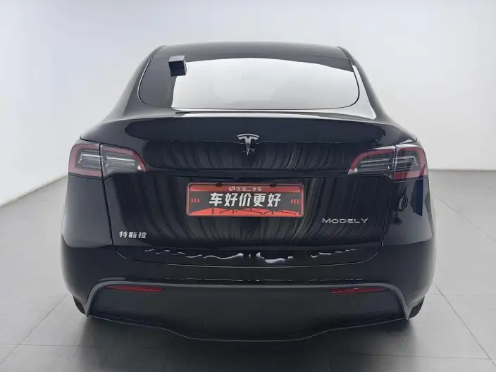 Model Y 2023 Model Long Battery Life Pro All-wheel drive version – фото 3