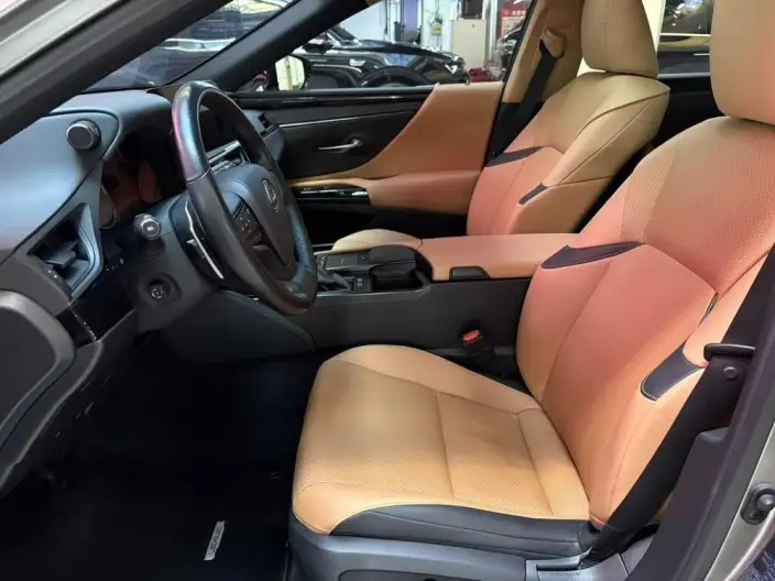 Lexus ES 2021 Model 300h Premium – фото 9