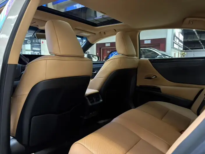 Lexus ES 2021 Model 300h Premium – фото 10