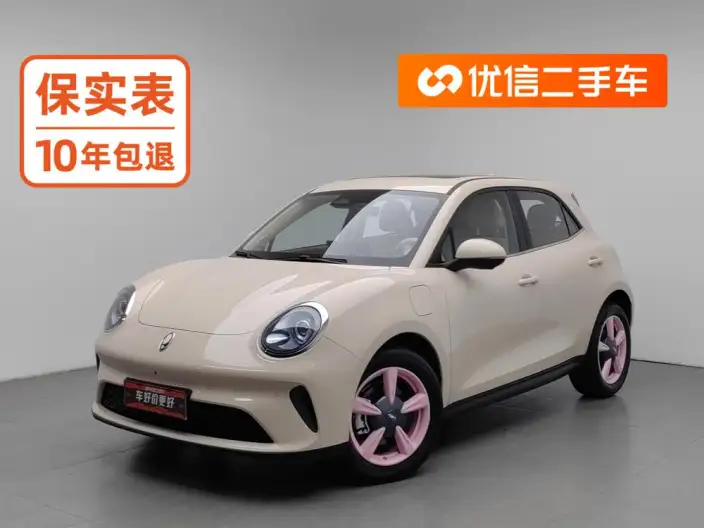 ORA Good Cat 2025 Model 430km Zunrong Model – фото 1