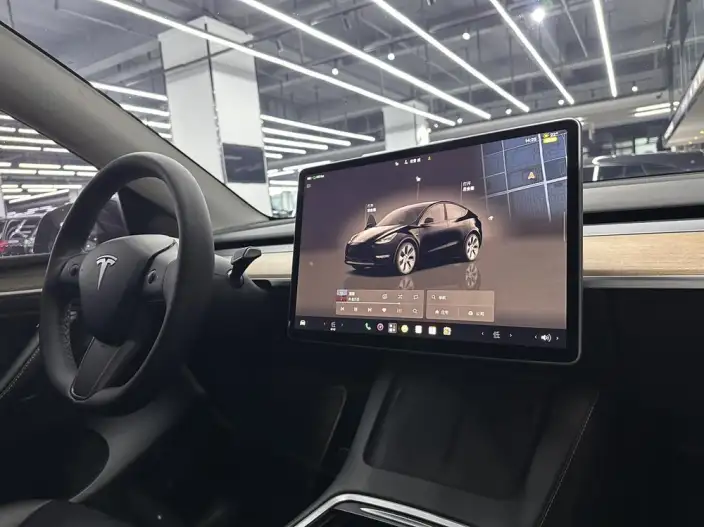 Model Y 2021 Model Facelift Long Battery Life Pro All-wheel drive version – фото 7