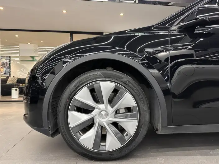 Model Y 2021 Model Facelift Long Battery Life Pro All-wheel drive version – фото 9