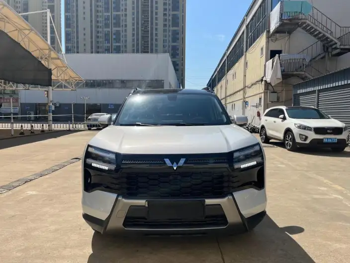 Xingguang 560 2026 Model 1.5T CVT Elite Model