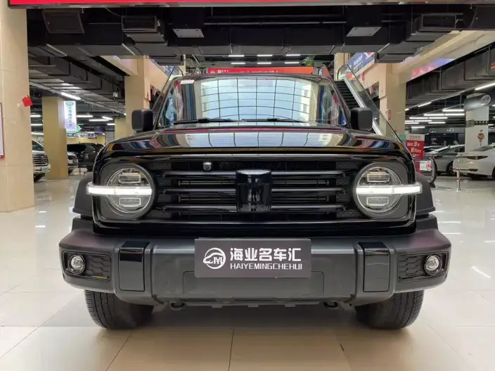 Tank 300 2024 Model 2.0T Challenger