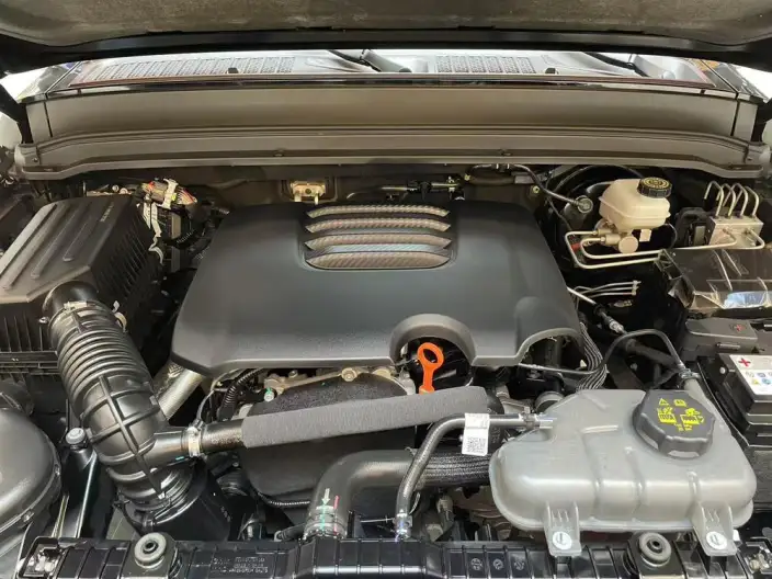 Tank 300 2024 Model 2.0T Challenger – фото 8