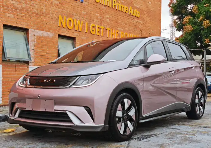 BYD Dolphin 2023 Model Knight Edition – фото 1